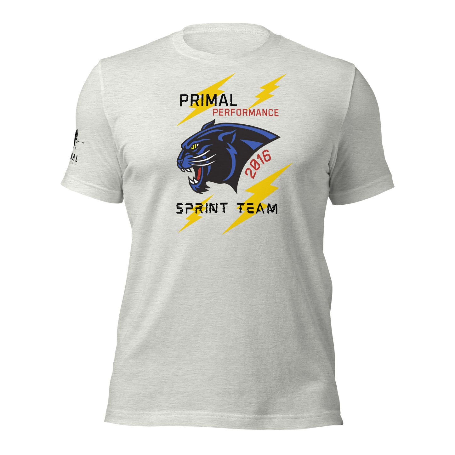 Sprint Team