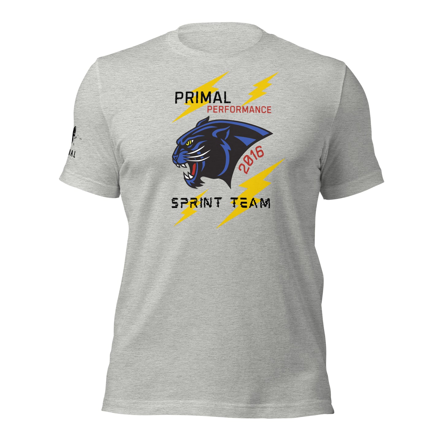Sprint Team