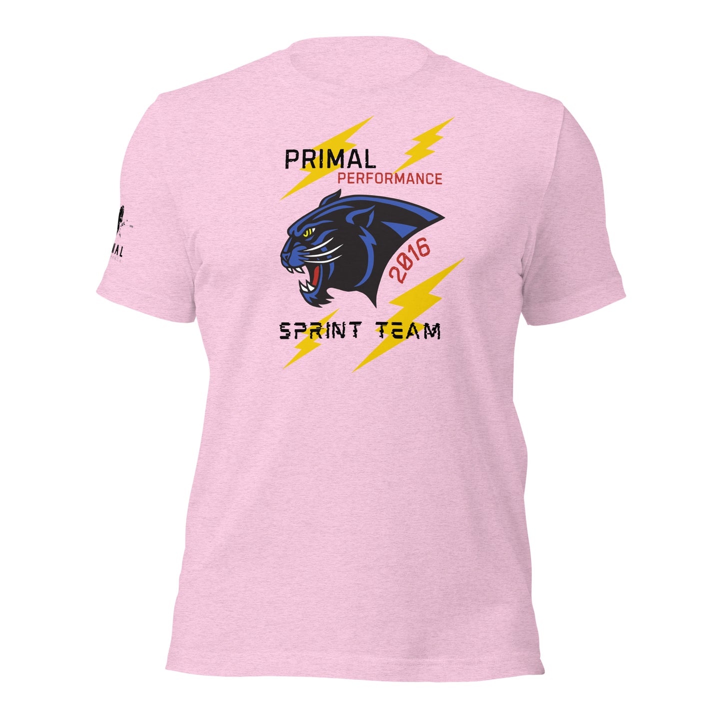 Sprint Team