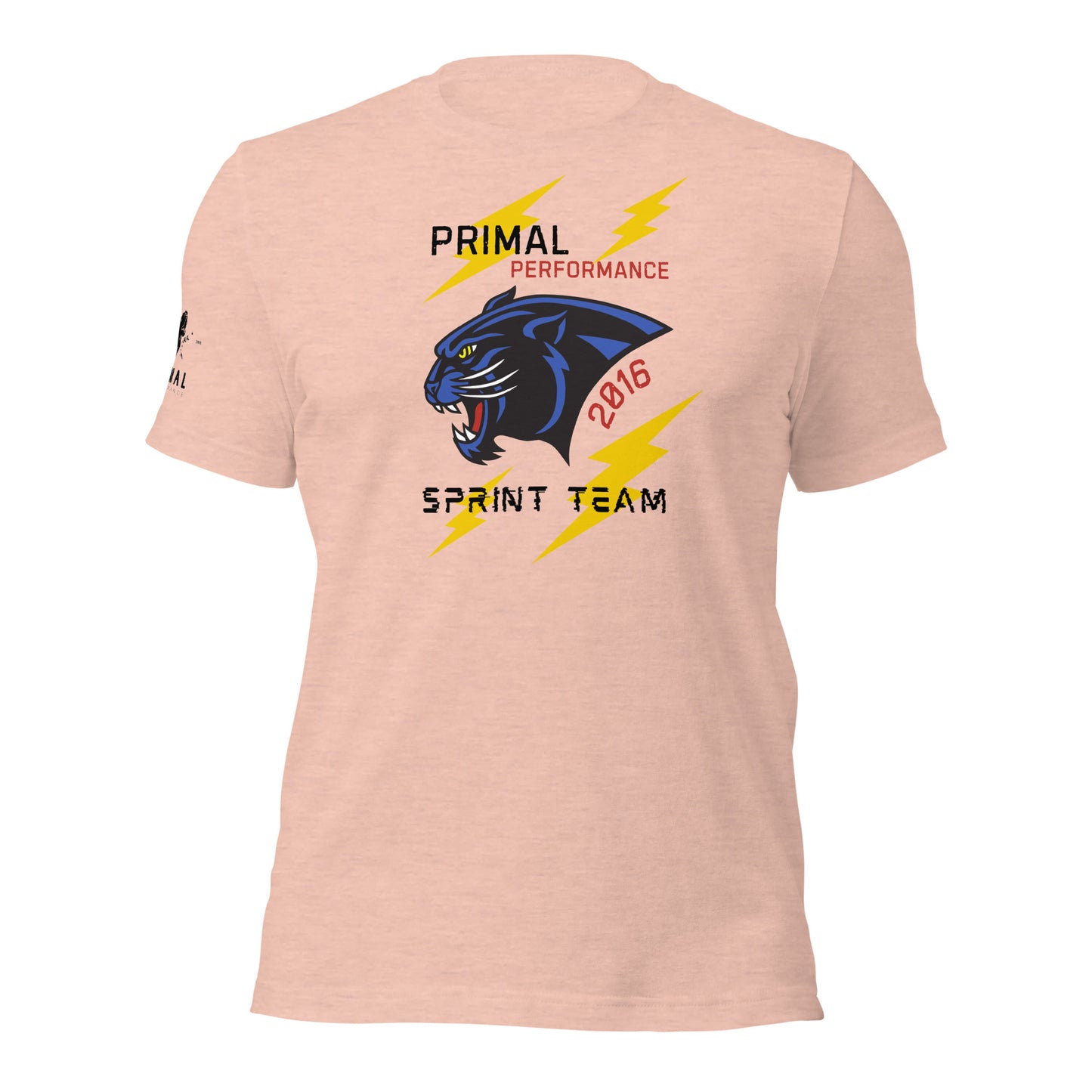 Sprint Team