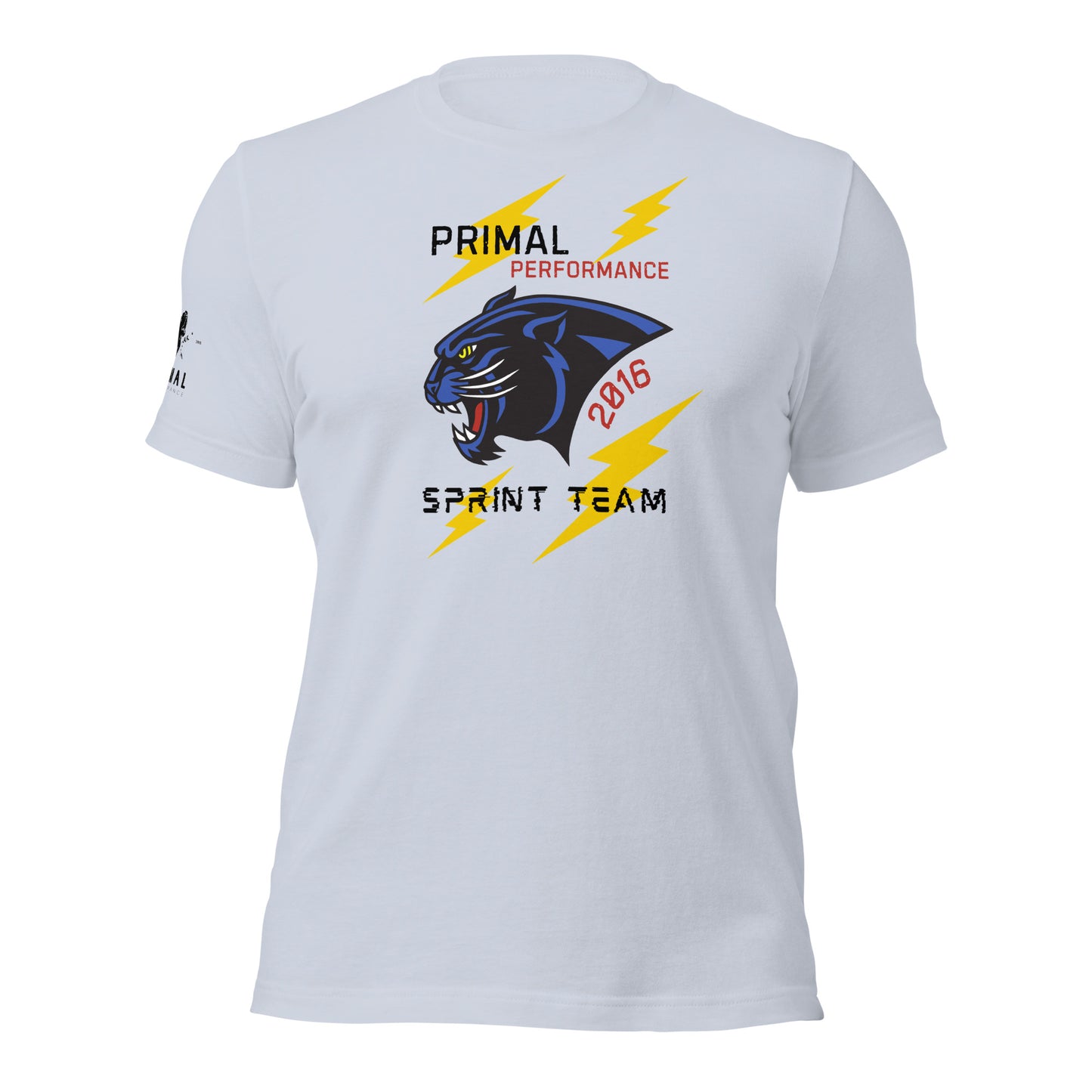Sprint Team