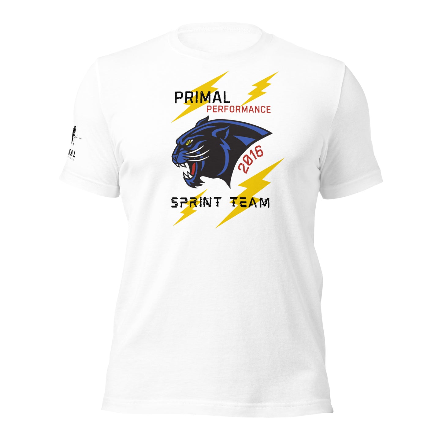 Sprint Team